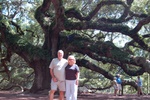 Angel Oak on Johns Island near Charleston